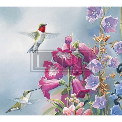 Hummingbirds 2022 Desktop Wallpaper - Calendars.com