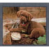 image Puppy 2022 Downloadable Digital Wallpaper for the month of July width="1000" height="1000"