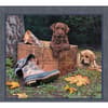 image Puppy 2022 Downloadable Digital Wallpaper for the month of September width="1000" height="1000"