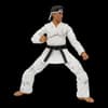 image Karate Kid Daniel GO Exclusive 2nd Product Detail  Image width=&quot;1000&quot; height=&quot;1000&quot;