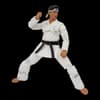 image Karate Kid Daniel GO Exclusive 4th Product Detail  Image width=&quot;1000&quot; height=&quot;1000&quot;