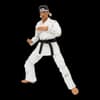 image Karate Kid Daniel GO Exclusive 7th Product Detail  Image width=&quot;1000&quot; height=&quot;1000&quot;