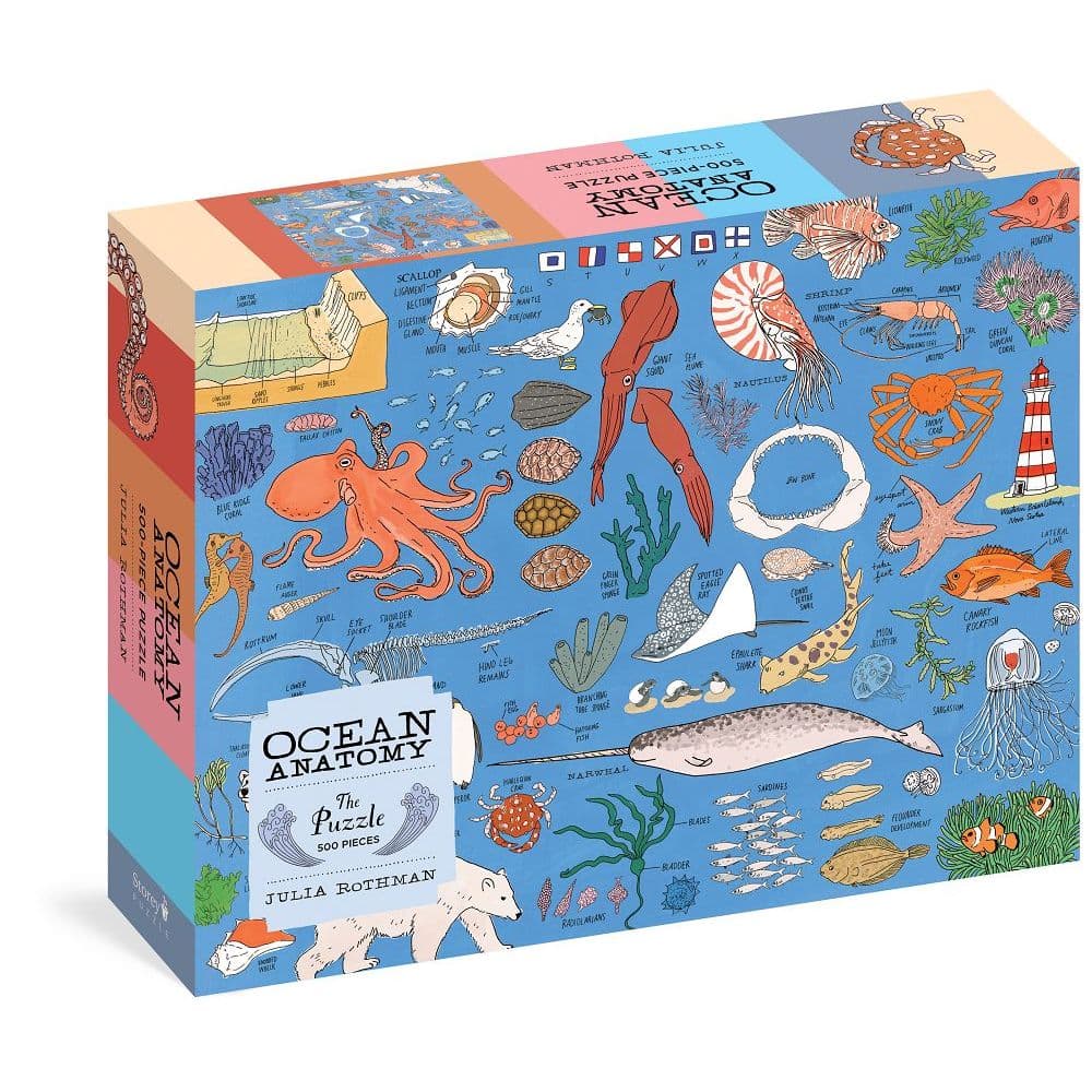 Ocean Anatomy 500pc Puzzle Main Product  Image width="1000" height="1000"