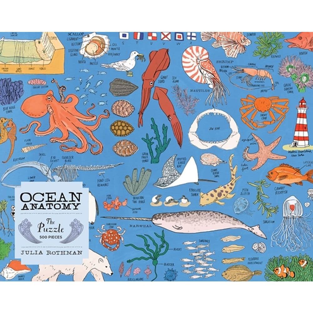 Ocean Anatomy 500pc Puzzle 2nd Product Detail  Image width=&quot;1000&quot; height=&quot;1000&quot;