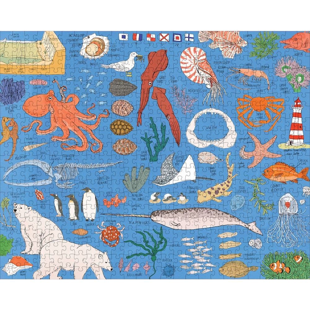 Ocean Anatomy 500pc Puzzle 3rd Product Detail  Image width="1000" height="1000"