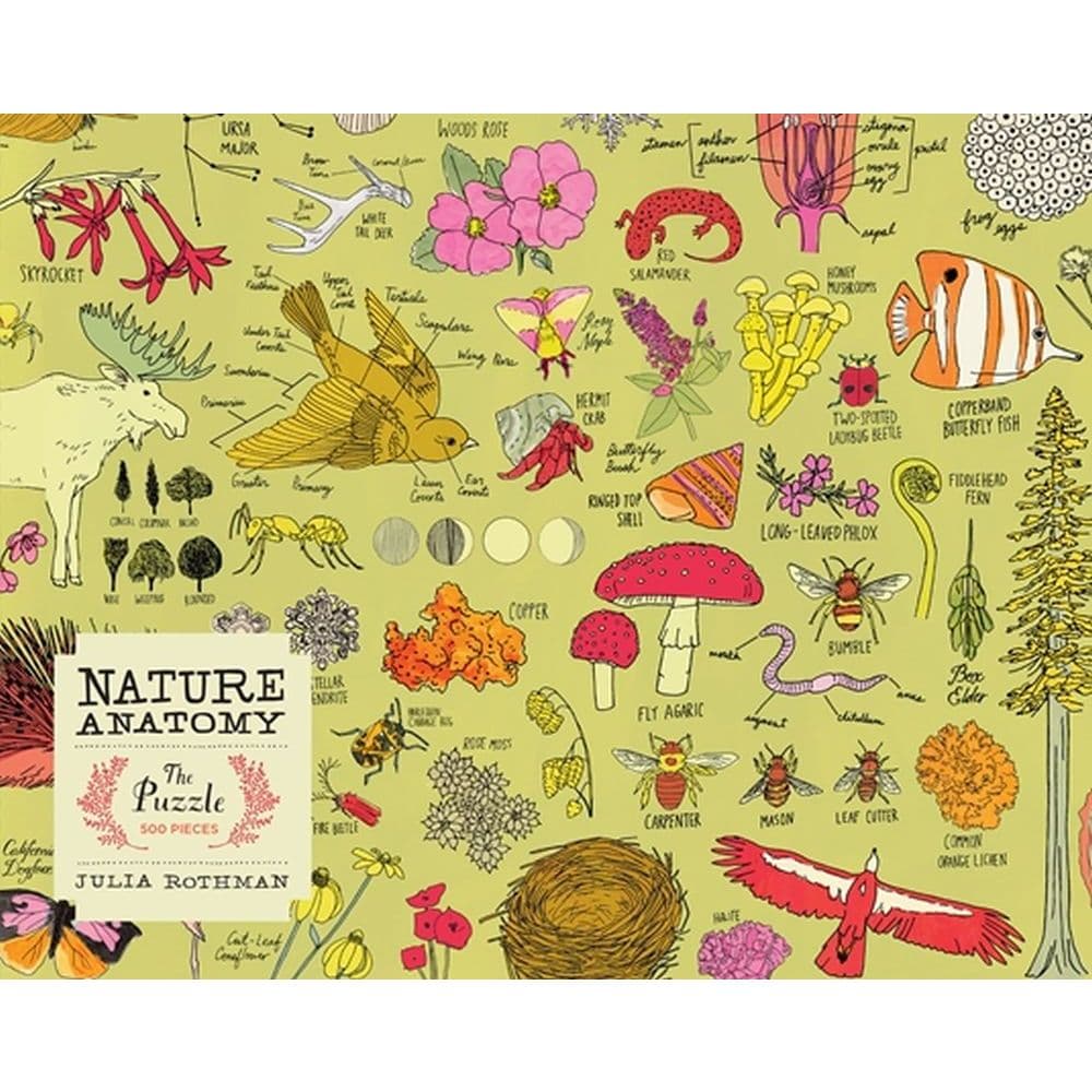 Nature Anatomy 500pc Puzzle 2nd Product Detail  Image width=&quot;1000&quot; height=&quot;1000&quot;