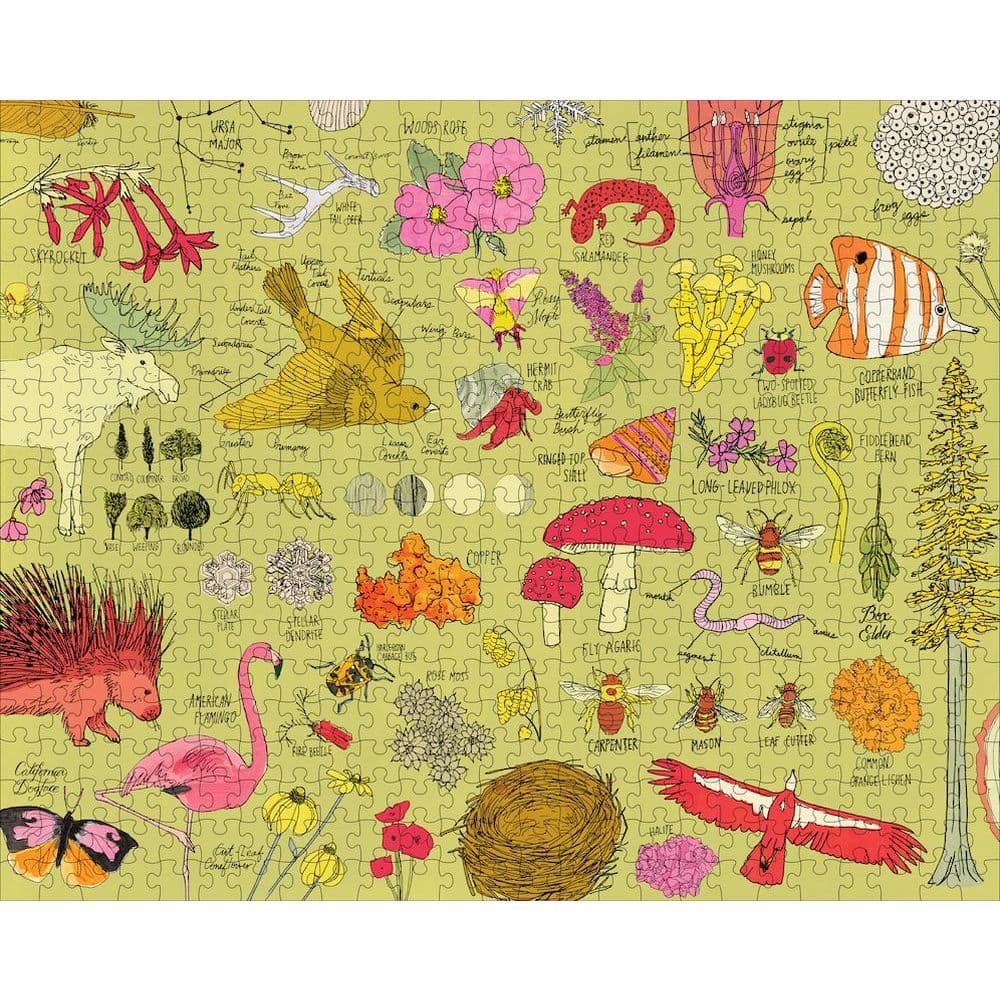 Nature Anatomy 500pc Puzzle 3rd Product Detail  Image width=&quot;1000&quot; height=&quot;1000&quot;