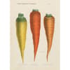 image Three Carrots 1000pc Puzzle 2nd Product Detail  Image width=&quot;1000&quot; height=&quot;1000&quot;