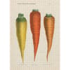 image Three Carrots 1000pc Puzzle 3rd Product Detail  Image width=&quot;1000&quot; height=&quot;1000&quot;