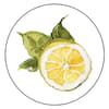 image Lemon Grove 14 Oz Mug 3rd Product Detail  Image width=&quot;1000&quot; height=&quot;1000&quot;
