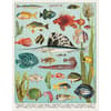 image Aquarium 1000 Piece Puzzle by Cavallini 2nd Product Detail  Image width=&quot;1000&quot; height=&quot;1000&quot;