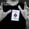 image Bicycle Euchre Playing Cards 2-Deck Set Fifth Alternate Image