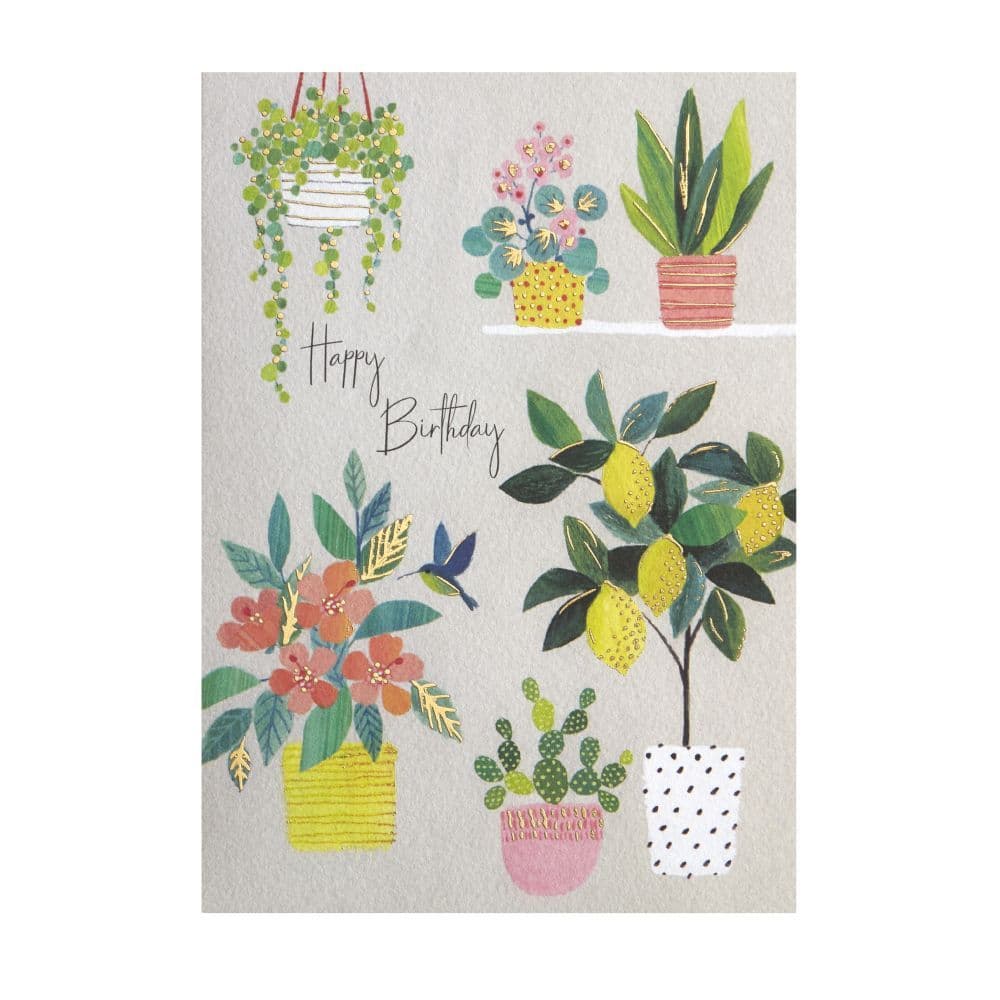 Lemon Tree And Plants Birthday Card 2nd Product Detail  Image width="1000" height="1000"
