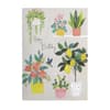 image Lemon Tree And Plants Birthday Card 2nd Product Detail  Image width=&quot;1000&quot; height=&quot;1000&quot;