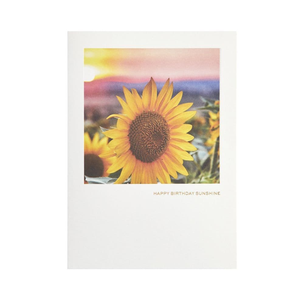 Sunflower Photo Birthday Card 2nd Product Detail  Image width="1000" height="1000"