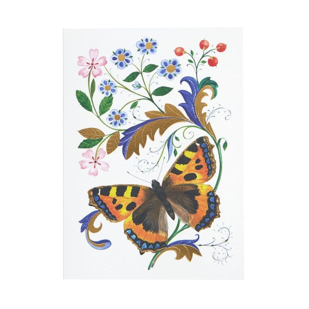 Butterfly 2nd Product Detail  Image width=&quot;1000&quot; height=&quot;1000&quot;