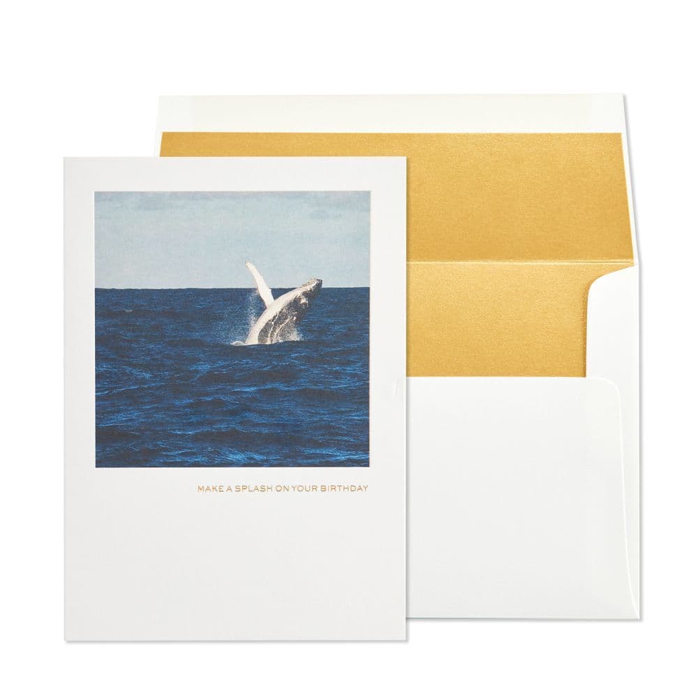 Breeching Whale Greeting Card Main Product  Image width=&quot;1000&quot; height=&quot;1000&quot;