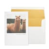 image Llama Greeting Card Main Product  Image width=&quot;1000&quot; height=&quot;1000&quot;