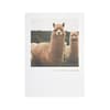 image Llama Greeting Card 2nd Product Detail  Image width=&quot;1000&quot; height=&quot;1000&quot;