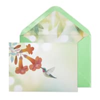 image Vellum Hummingbird Greeting Card Main Product  Image width=&quot;1000&quot; height=&quot;1000&quot;