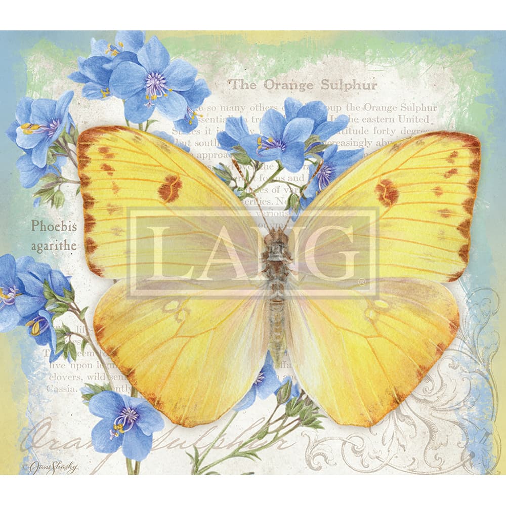 Butterflies 2023 Desktop Wallpaper Second Alternate Image  width=&quot;1000&quot; height=&quot;1000&quot;