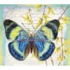 image Butterflies 2023 Desktop Wallpaper Third Alternate Image  width=&quot;1000&quot; height=&quot;1000&quot;