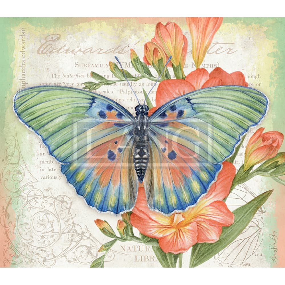 Butterflies 2023 Desktop Wallpaper Fifth Alternate Image  width=&quot;1000&quot; height=&quot;1000&quot;
