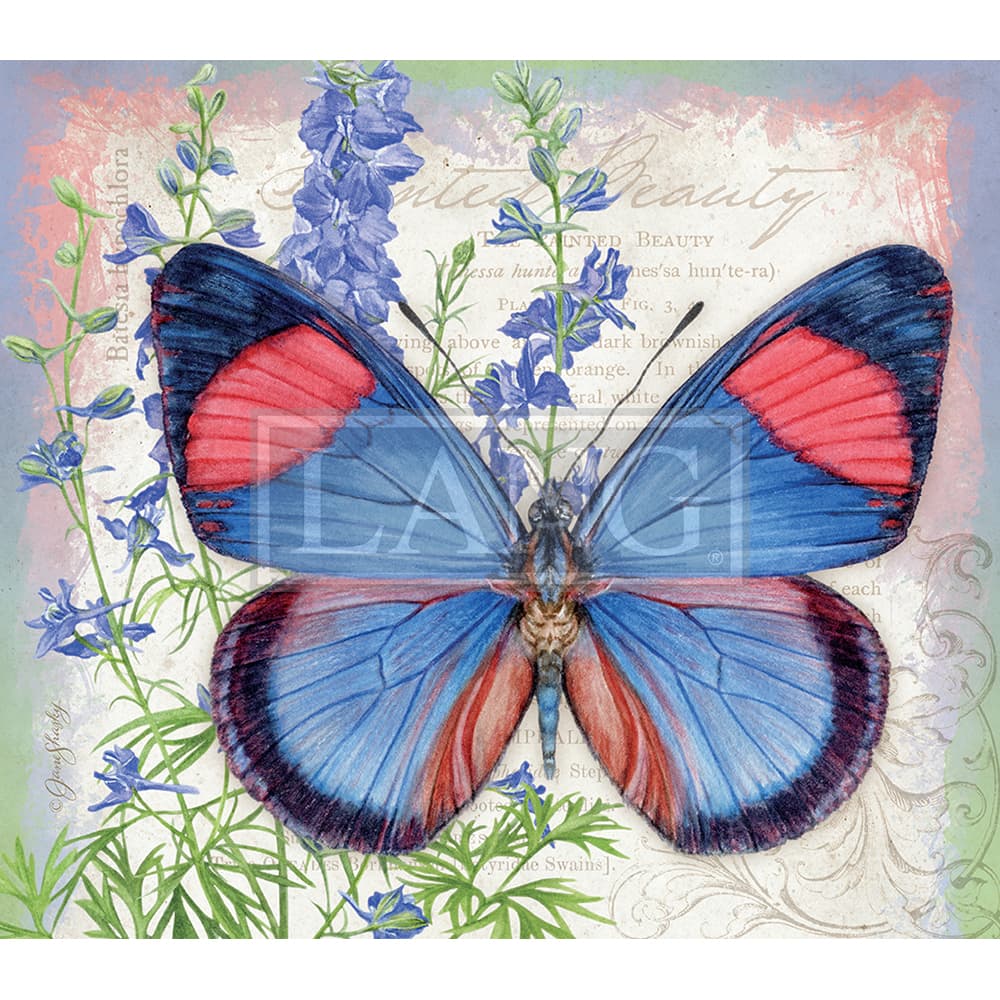 Butterflies 2023 Desktop Wallpaper Sixth Alternate Image  width=&quot;1000&quot; height=&quot;1000&quot;