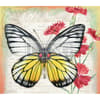 image Butterflies 2023 Desktop Wallpaper Seventh Alternate Image  width=&quot;1000&quot; height=&quot;1000&quot;