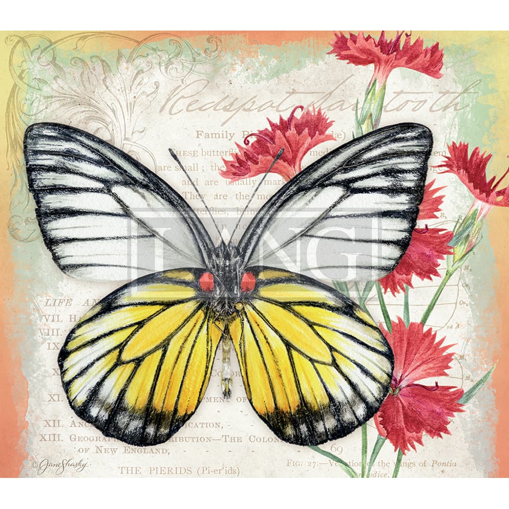 Butterflies 2023 Desktop Wallpaper Seventh Alternate Image  width=&quot;1000&quot; height=&quot;1000&quot;