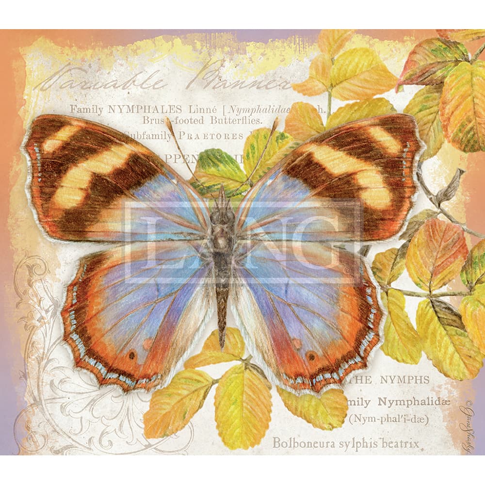 Butterflies 2023 Desktop Wallpaper Ninth Alternate Image  width=&quot;1000&quot; height=&quot;1000&quot;