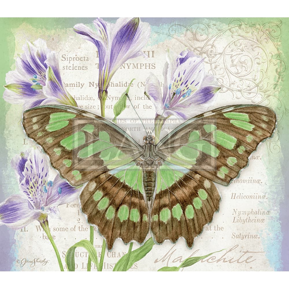 Butterflies 2023 Desktop Wallpaper Alternate Image  width=&quot;1000&quot; height=&quot;1000&quot;