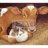 image Cows Cows Cows 2023 Desktop Wallpaper First Alternate Image  width=&quot;1000&quot; height=&quot;1000&quot;