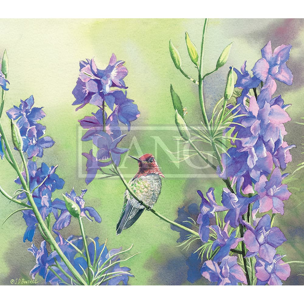 Hummingbirds 2023 Desktop Wallpaper Sixth Alternate Image  width=&quot;1000&quot; height=&quot;1000&quot;