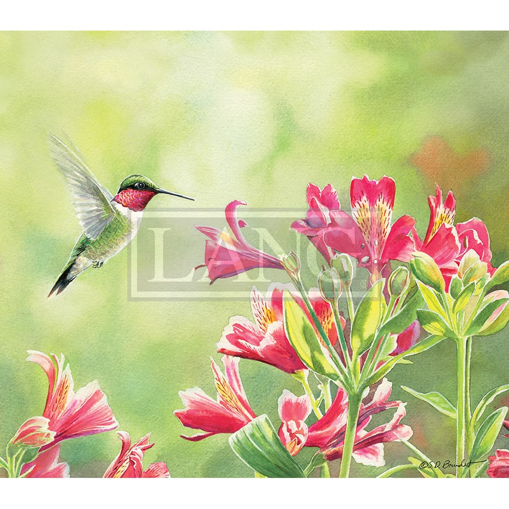Hummingbirds 2023 Desktop Wallpaper Seventh Alternate Image  width=&quot;1000&quot; height=&quot;1000&quot;