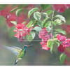 image Hummingbirds 2023 Desktop Wallpaper Alternate Image  width=&quot;1000&quot; height=&quot;1000&quot;