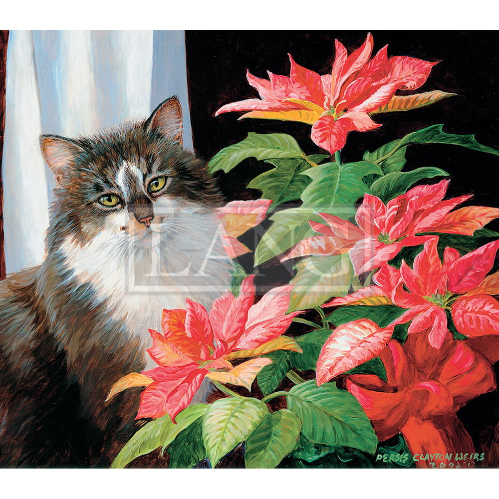 Love Of Cats 2023 Desktop Wallpaper Main Product Image  width=&quot;1000&quot; height=&quot;1000&quot;