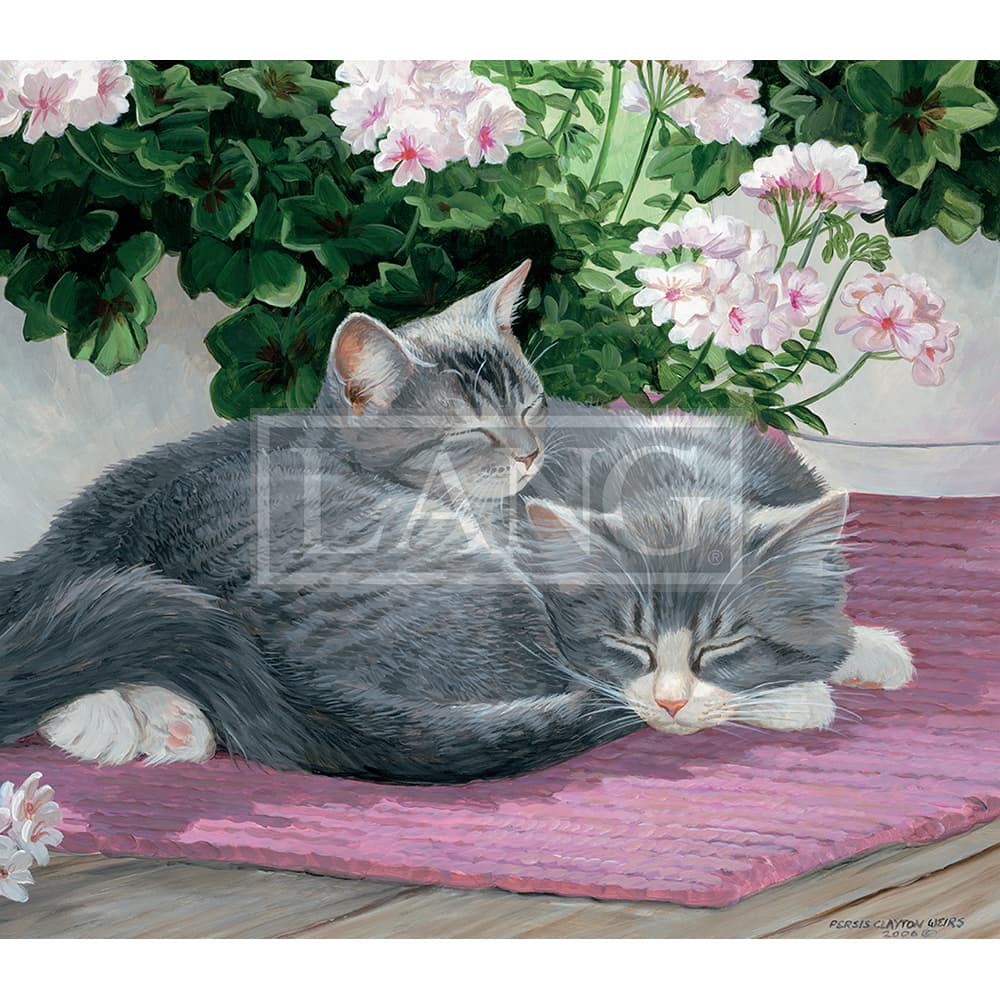 Love Of Cats 2023 Desktop Wallpaper Fourth Alternate Image  width=&quot;1000&quot; height=&quot;1000&quot;