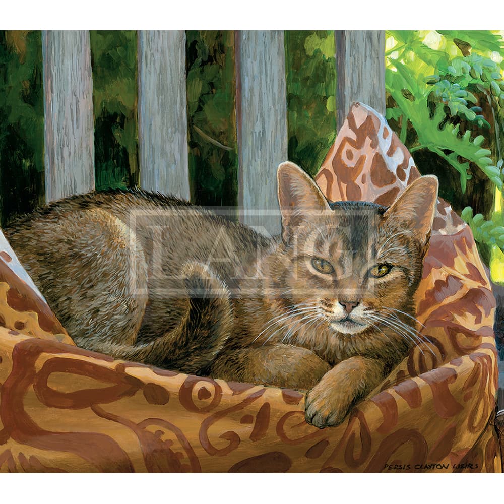 Love Of Cats 2023 Desktop Wallpaper Seventh Alternate Image  width=&quot;1000&quot; height=&quot;1000&quot;