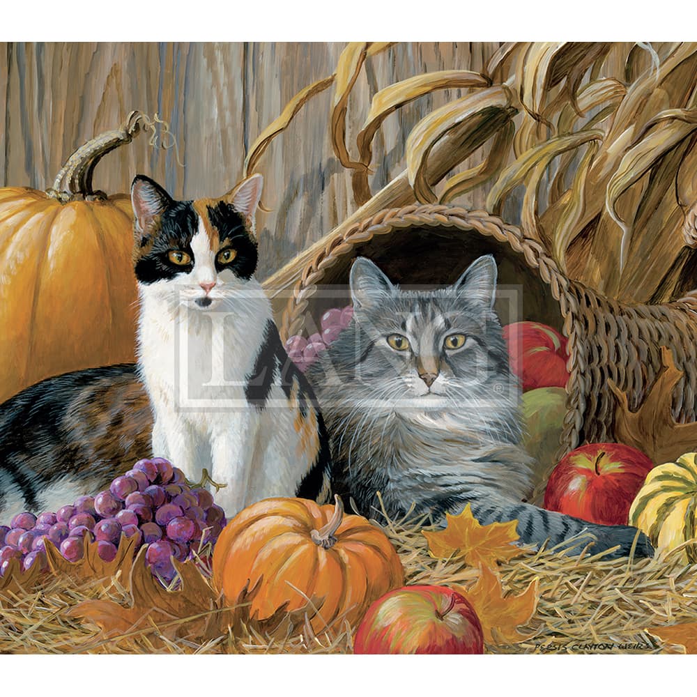 Love Of Cats 2023 Desktop Wallpaper Ninth Alternate Image  width=&quot;1000&quot; height=&quot;1000&quot;