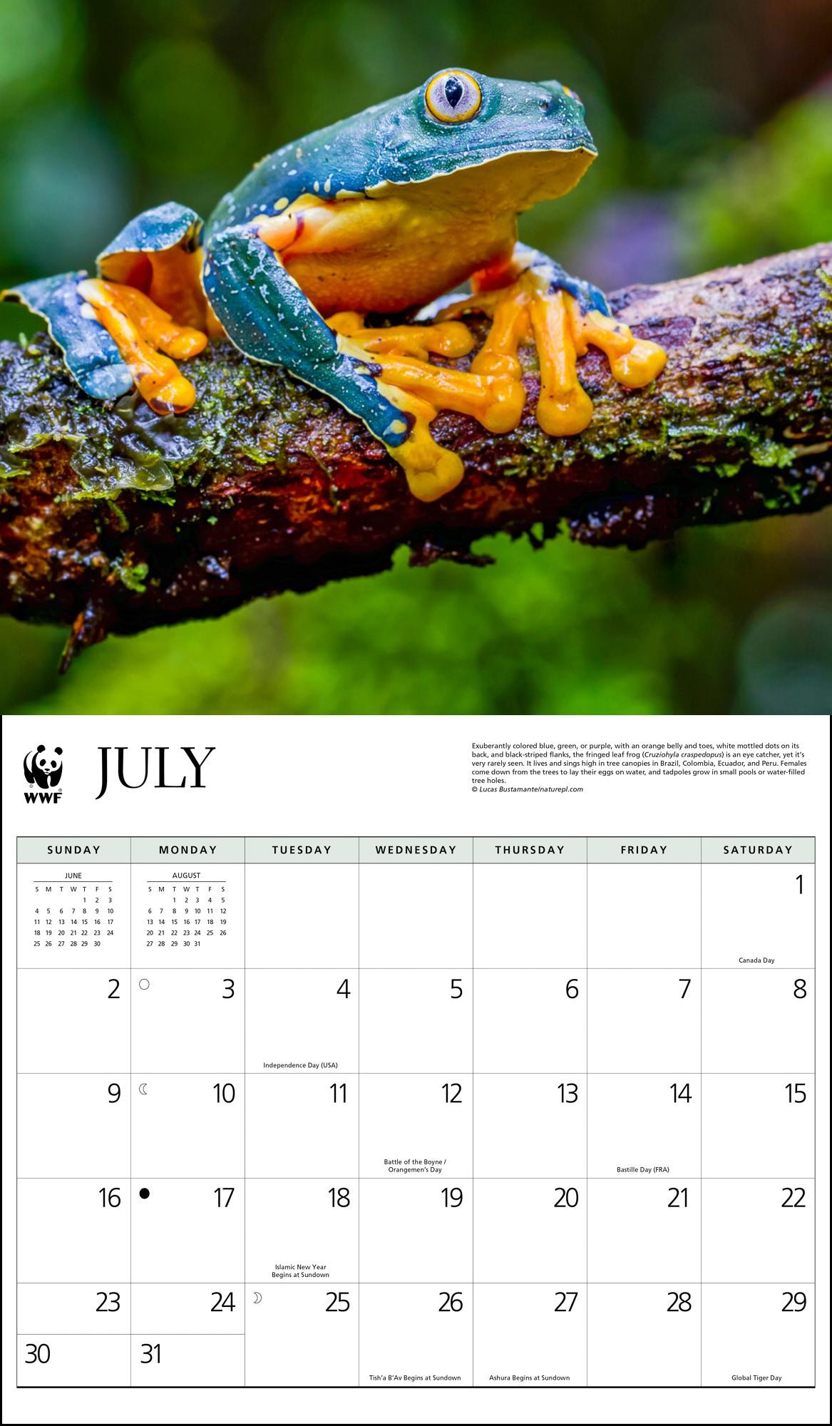 WWF Frogs 2023 Calendar - Calendars.com