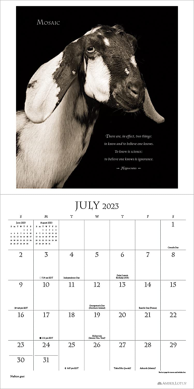 I Am Goat 2023 Wall Calendar - Calendars.com