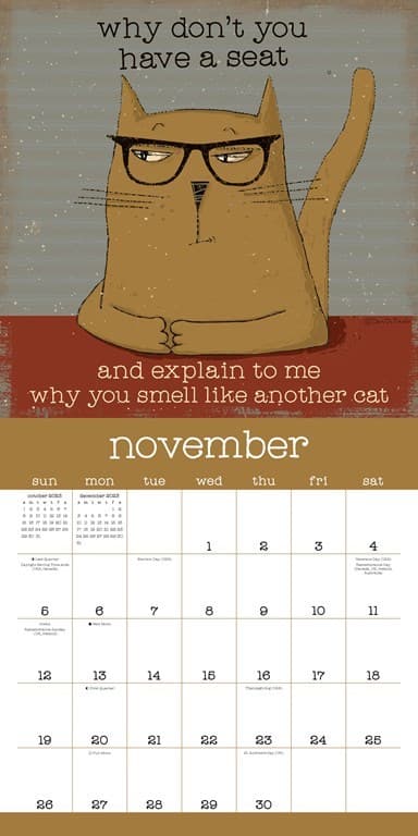 Year of Snarky Cats 2023 Wall Calendar - Calendars.com