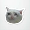 image Crying Cat Meme Sticker Main Product  Image width="1000" height="1000"