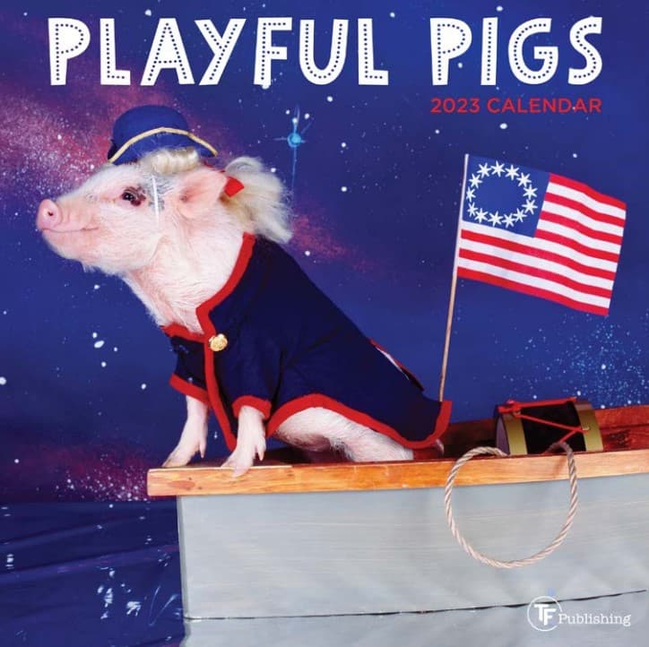 Playful Pigs 2023 Mini Wall Calendar