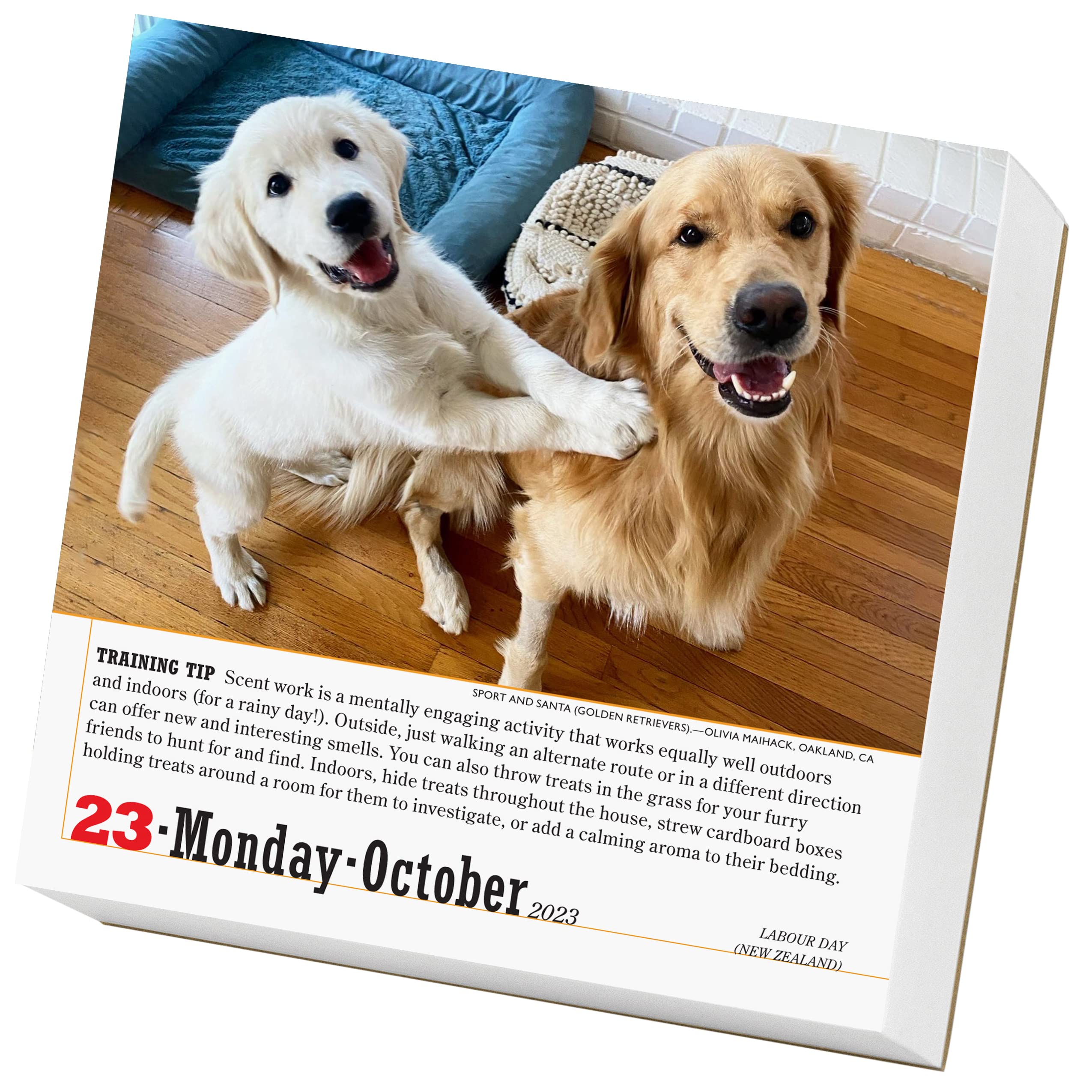365 Dogs 2023 Page-A-Day Calendar - Calendars.com