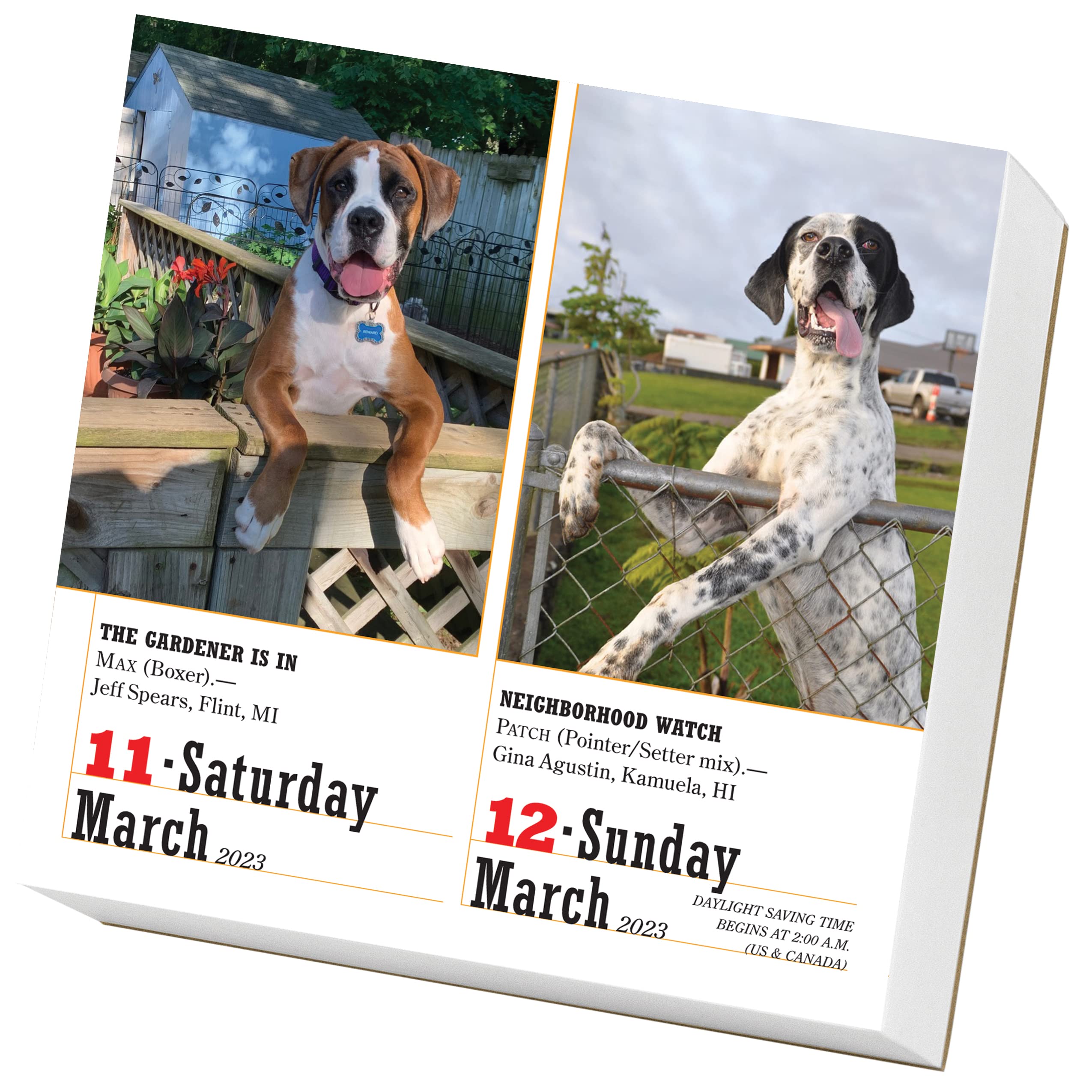 365 Dogs 2023 Page-A-Day Calendar - Calendars.com
