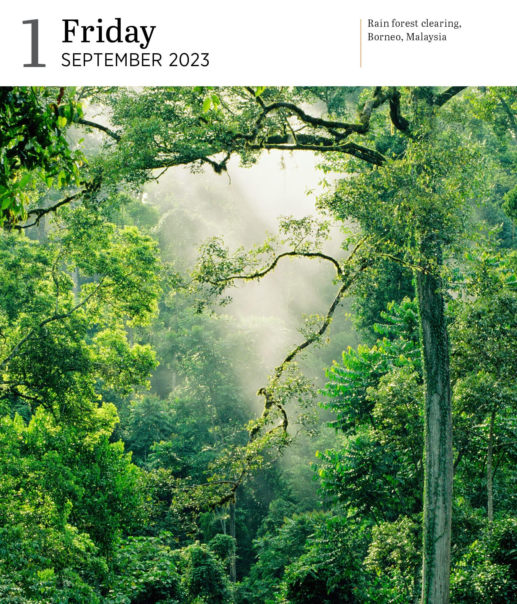 audubon-nature-2023-large-desk-calendar-calendars