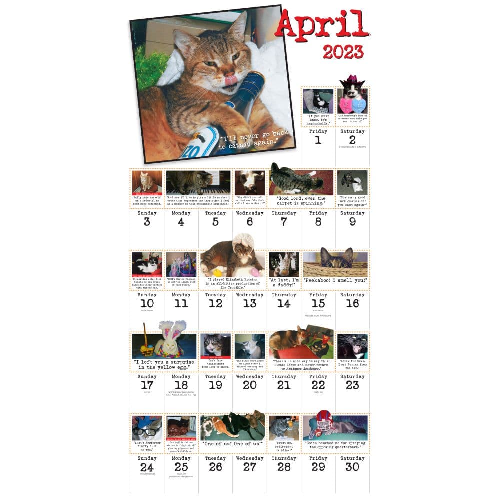 bad-cat-365-days-2023-wall-calendar-calendars-com