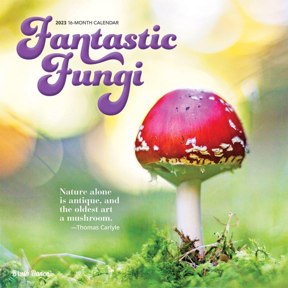 Magic Mushrooms 2023 Wall Calendar